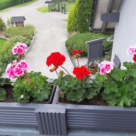 Auf Dem Hufen Lägenhet Ribnitz-Damgarten Exteriör bild