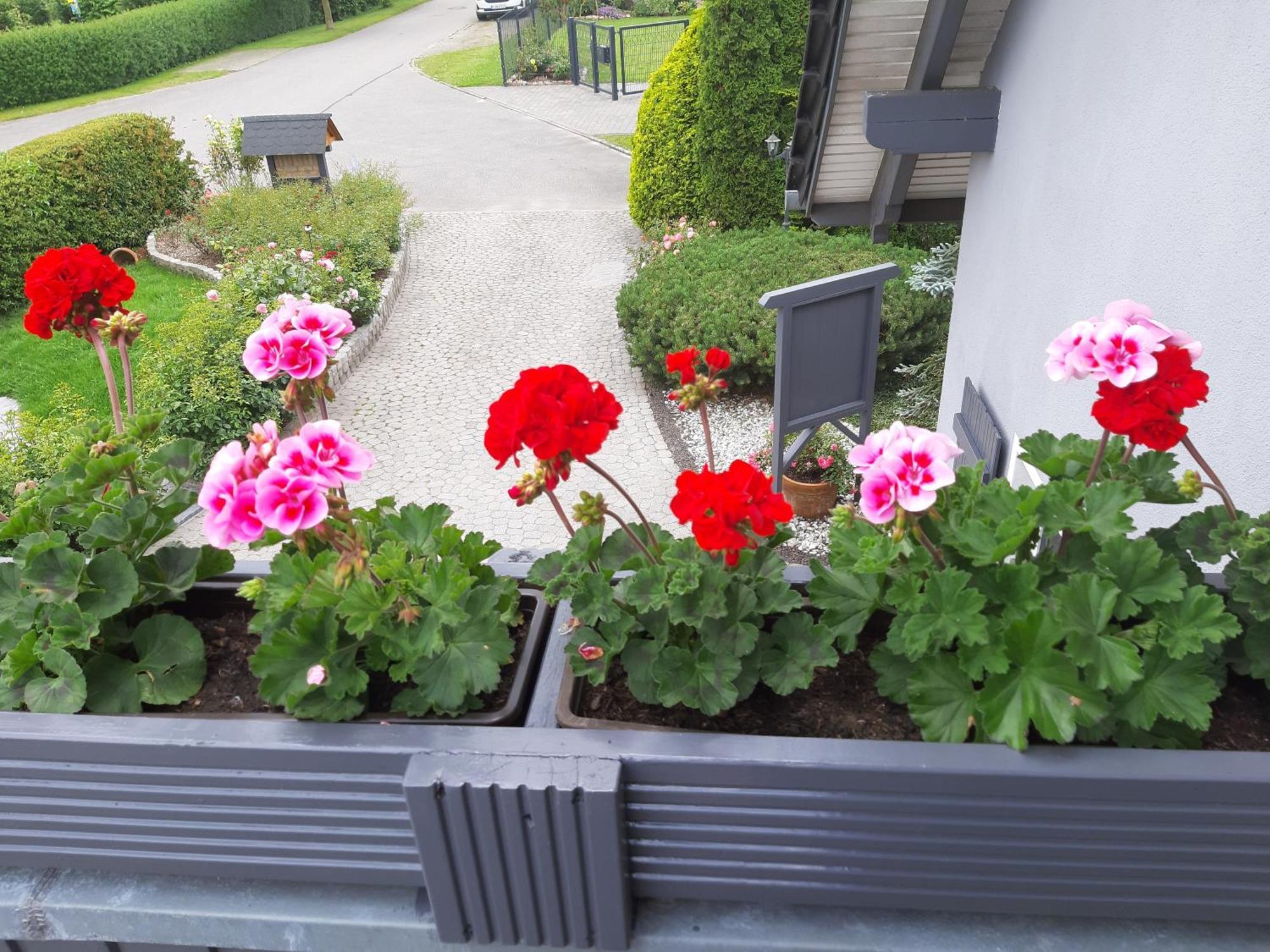 Auf Dem Hufen Lägenhet Ribnitz-Damgarten Exteriör bild